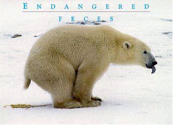 ef.jpg